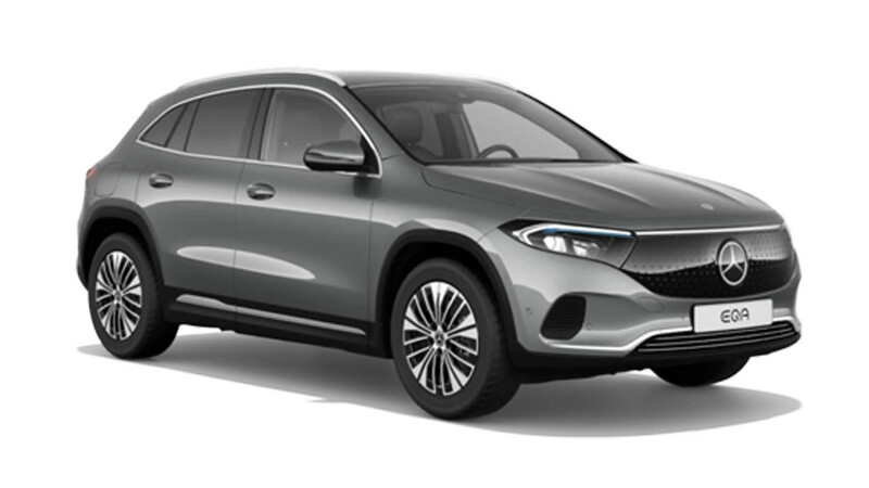 Sport Executive